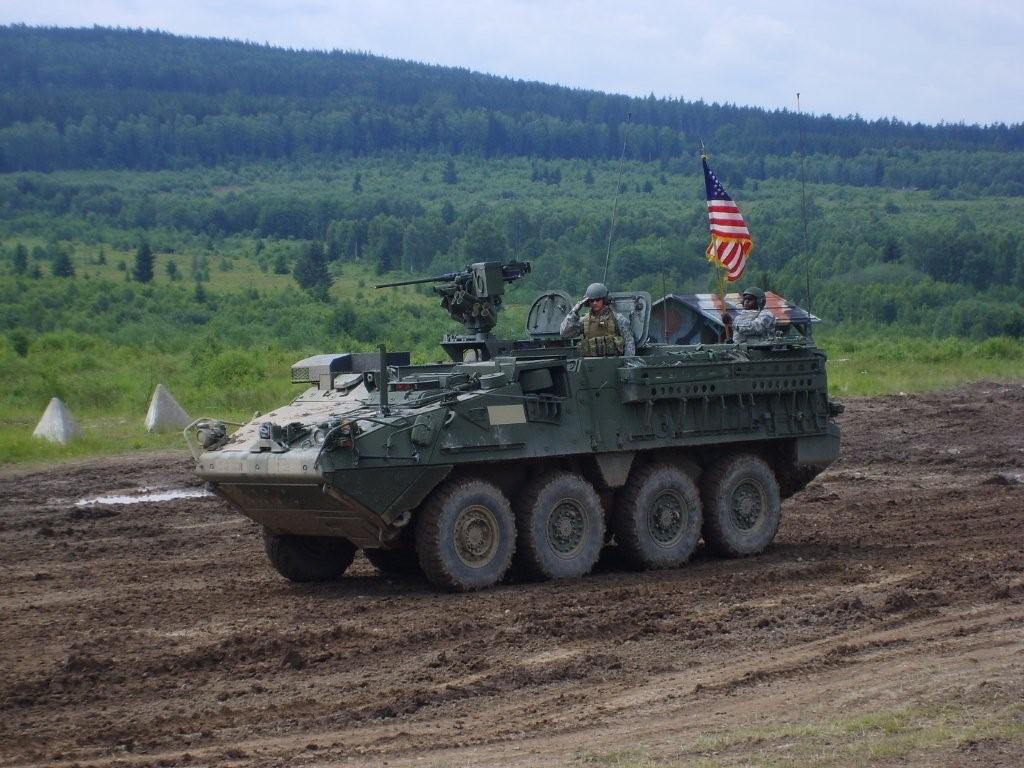 S6002234.jpg